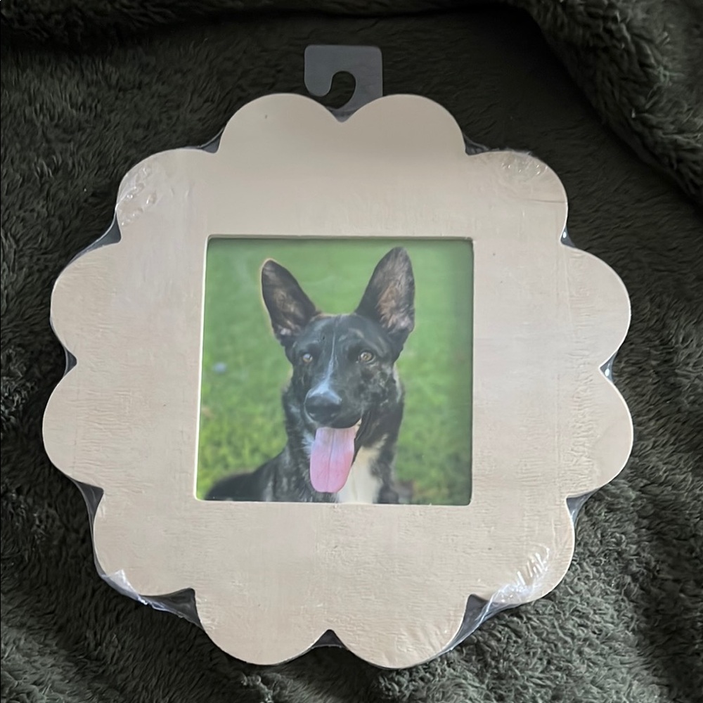 Scalloped Cream Photo Frame